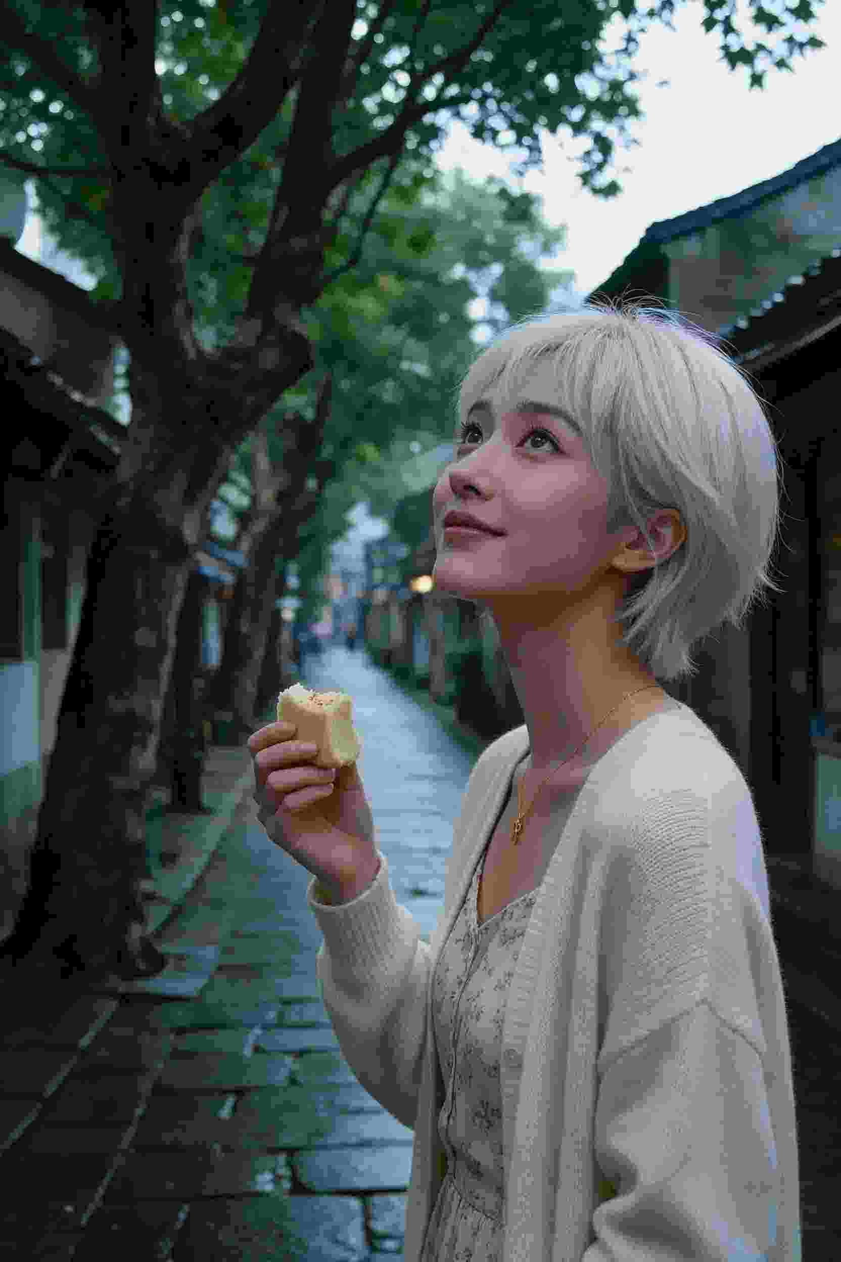 学园天堂